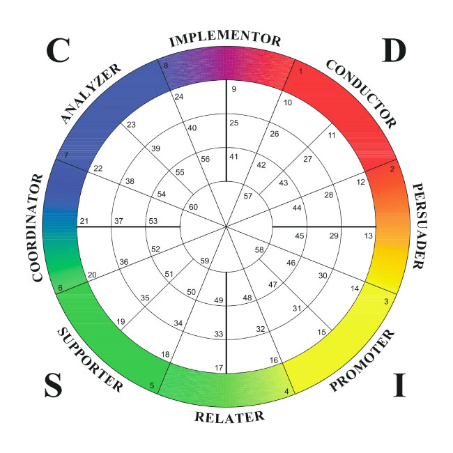 Disc Assessment Chart